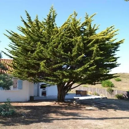 House 6 Personnes Noirmoutier : Maison De Vacances A Moins De 50 Metres De La Plage Pour 6 Personnes. Villa Barbâtre