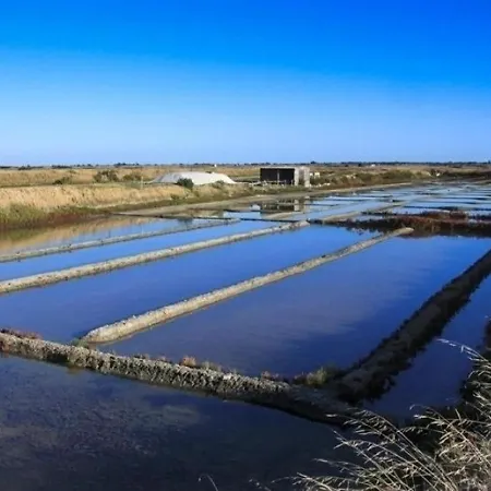 House 6 Personnes Noirmoutier : Maison De Vacances A Moins De 50 Metres De La Plage Pour 6 Personnes. Villa *